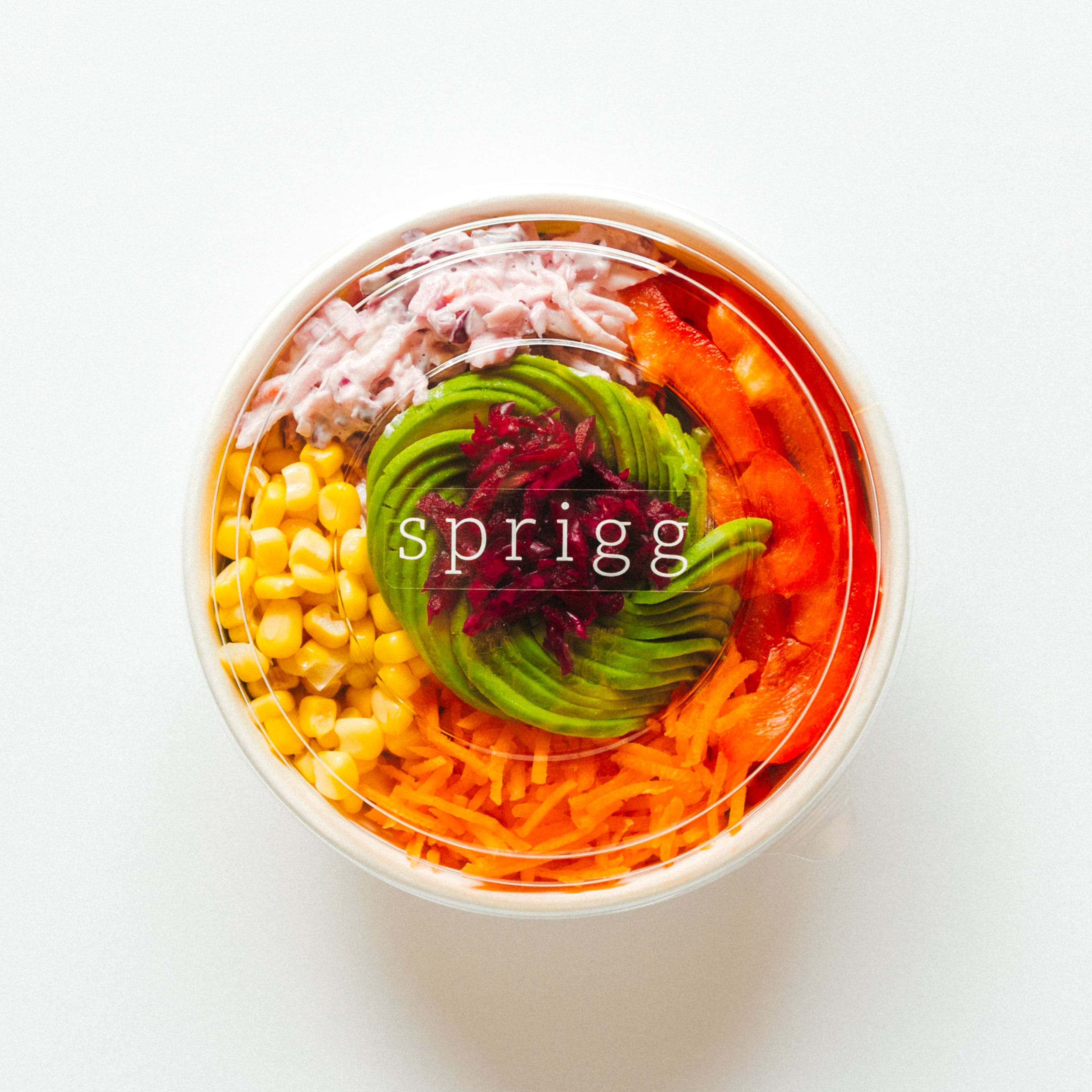Avocado small sprigg